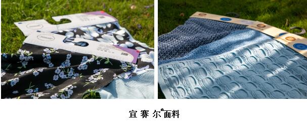 詮釋竹風雅韻，&ldquo;纖&rdquo;動綠色風尚！絲麗雅系列產品品牌即將于柯橋發布