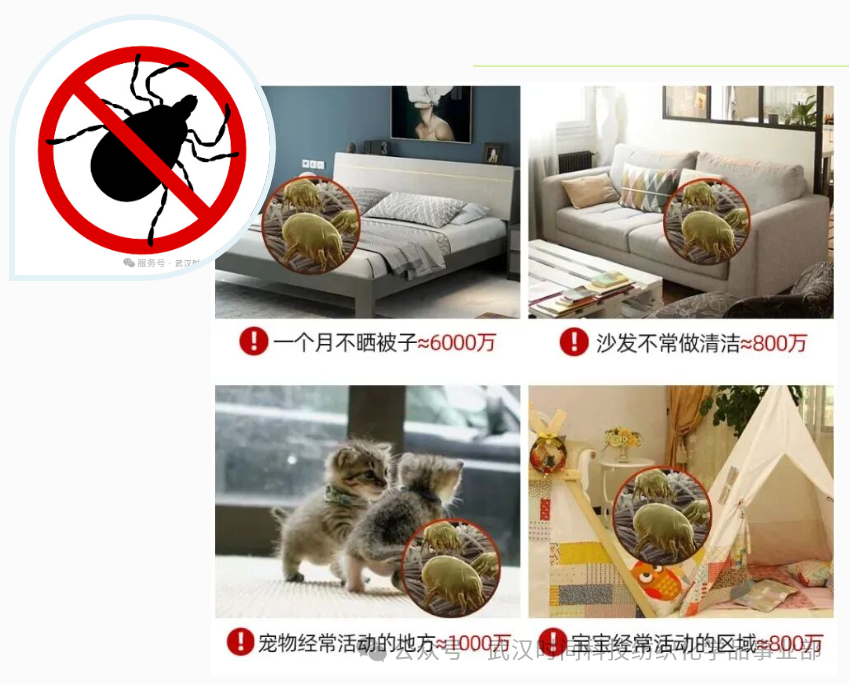 防螨!已成為健康的“新剛需”--武漢時間科技推出紡織品防螨整理劑喜化®植螨零